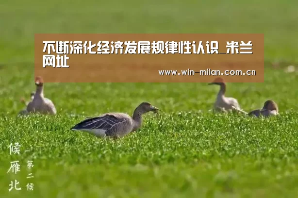 不断深化经济发展规律性认识_米兰网址(图3) 米兰体育